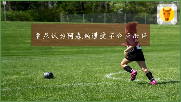 鲁尼认为阿森纳遭受不公正批评